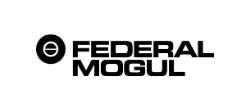 federal mogul certified supplier